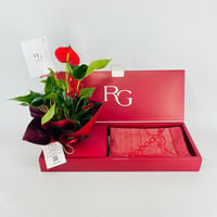15374 - Image 1