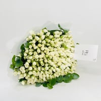 12791-773 - صورة 1