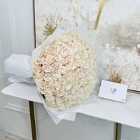 16029 - Image 3