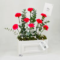 11758 - صورة 3