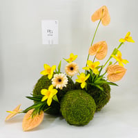 11707 - صورة 1