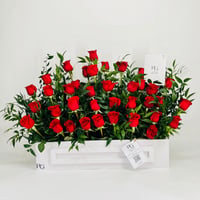 10561-125 - صورة 1