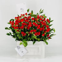 8333-401 - صورة 1