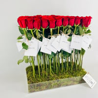 13907-834 - صورة 2