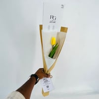 2677 - Image 1