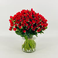 13184 - صورة 1