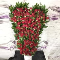 619 - صورة 1