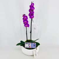 15343 - Image 2