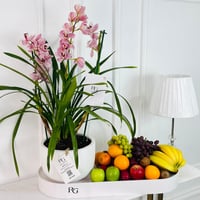 16998 - Image 1