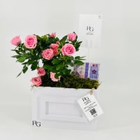 12856 - Image 3