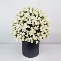 16543 - Image 3