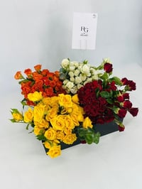 5877-468 - صورة 2