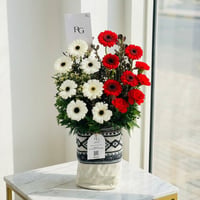 25963 - صورة 1