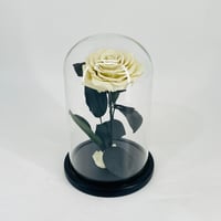 11276 - Image 1