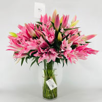 14461 - Image 1