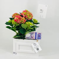 12442 - Image 3