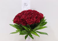 3017-330 - صورة 2