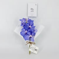 14231 - Image 1