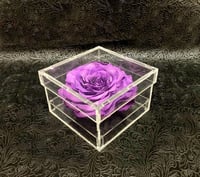 2217-183 - صورة 1
