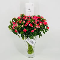 6447-30 - صورة 1