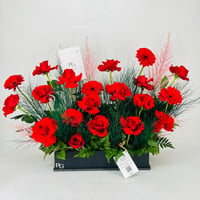 7788 - صورة 1