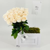12857 - صورة 5