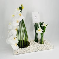 8508-67 - صورة 2