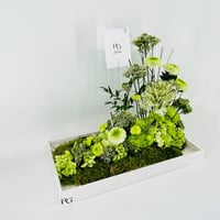 14202 - صورة 2