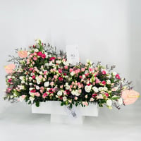 6835-610 - صورة 3