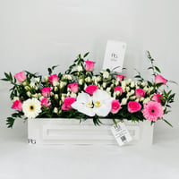 11772-721 - صورة 2