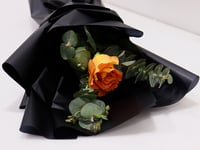 3666 - صورة 3