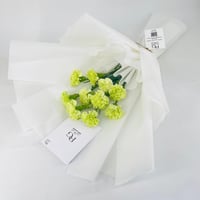 10961 - صورة 3