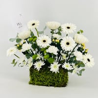 13331 - صورة 3