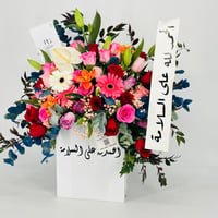 13481 - صورة 3