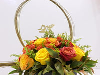 3732 - صورة 3