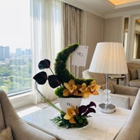 26374 - Image 2