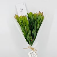14243 - Image 4