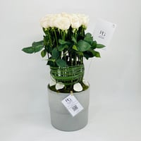 10831-91 - Image 2