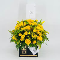 3842 - Image 1
