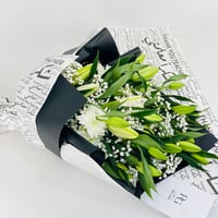 13973 - Image 1