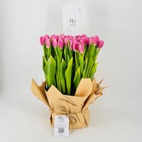 9672-257 - صورة 3