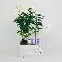 12788 - Image 3
