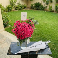 25885 - صورة 1