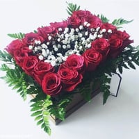 1090 - صورة 1