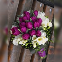 3018-827 - صورة 1