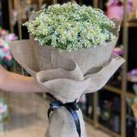 291 - صورة 1