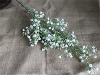 4304 - Image 1