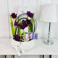 16834 - Image 1
