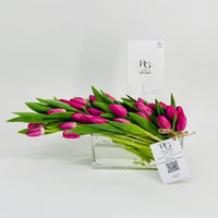 10325-195 - Image 1