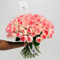 8848-559 - صورة 3
